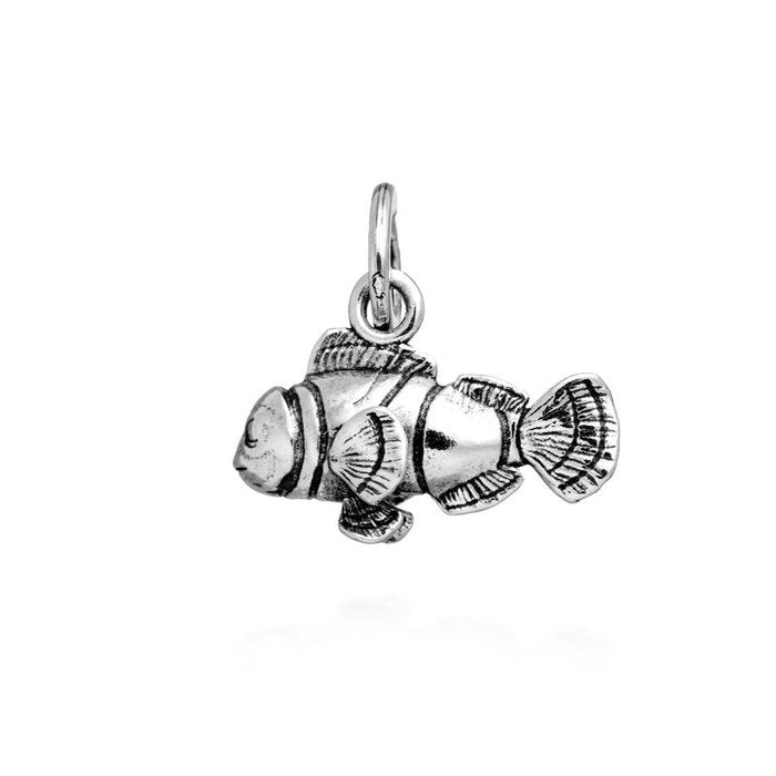 Charme de poisson-clown