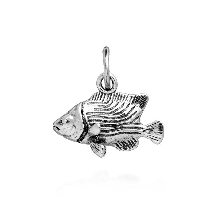 Charme de poisson-ange