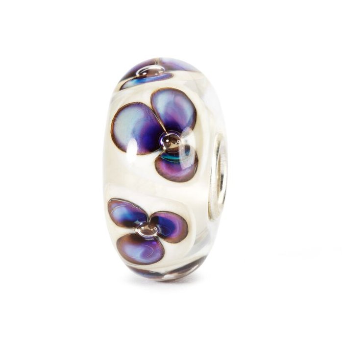 Violettes ivoire