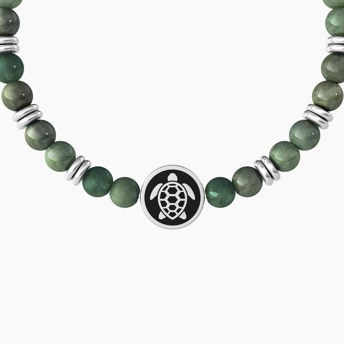 TORTUE | RÉSILIENCE