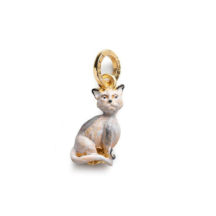 Charm Gatto