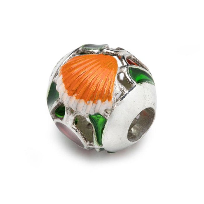 Coral Shell