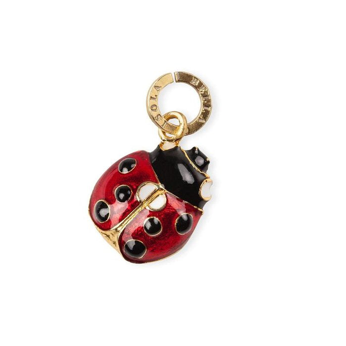 Coccinella