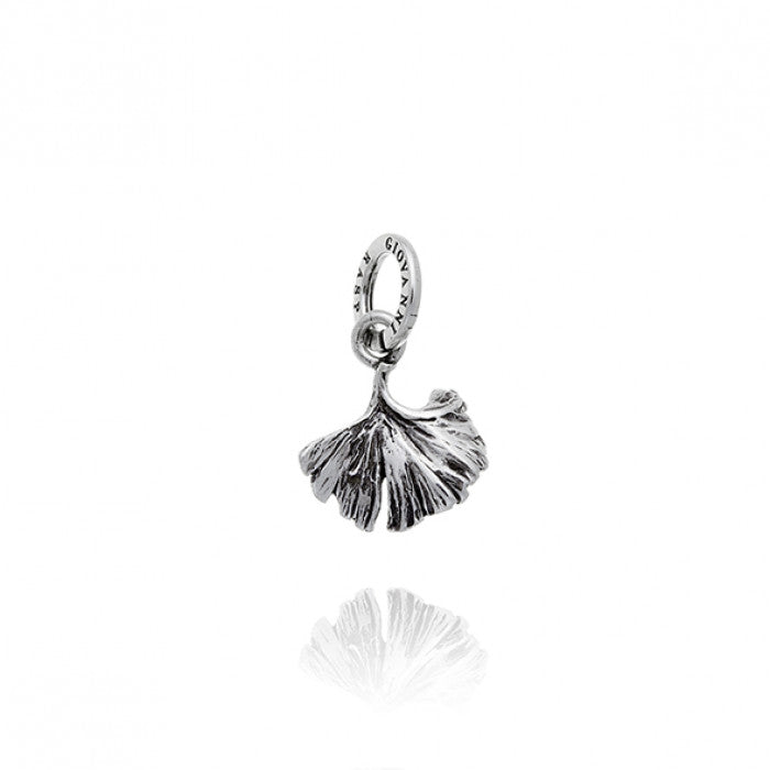 Ginkgo Leaf