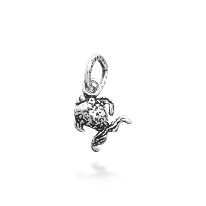 Little Fish Charm