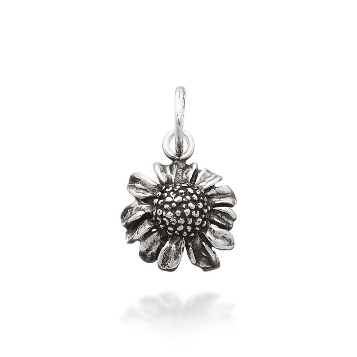 Chamomile Charm