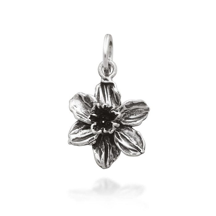 Narcissus Charm