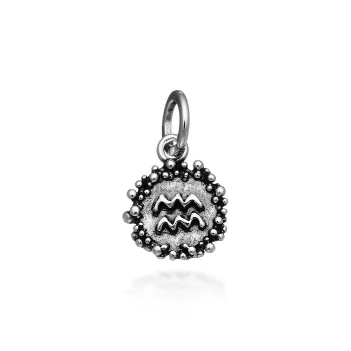 Aquarius Medal Charm