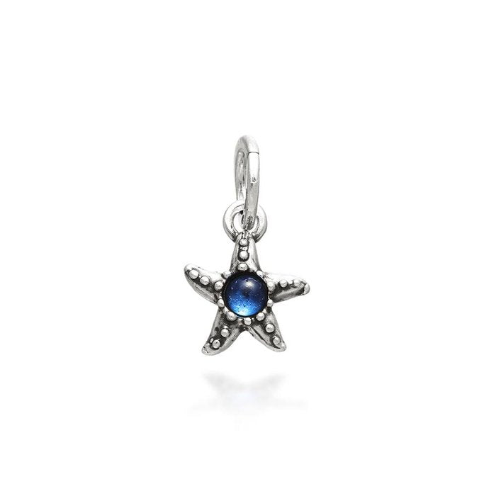 Starfish Charm Color