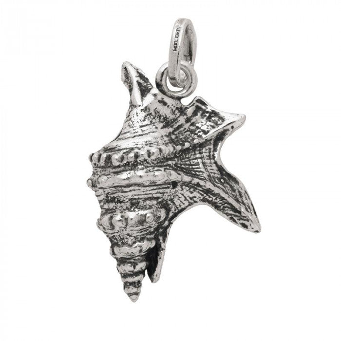 Tropical shell