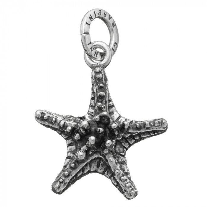 Fat Starfish