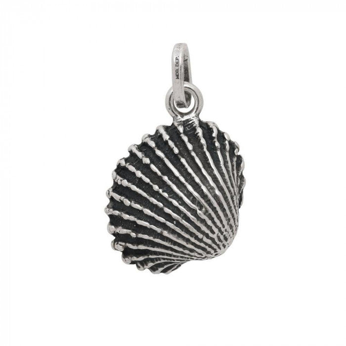 Big Shell