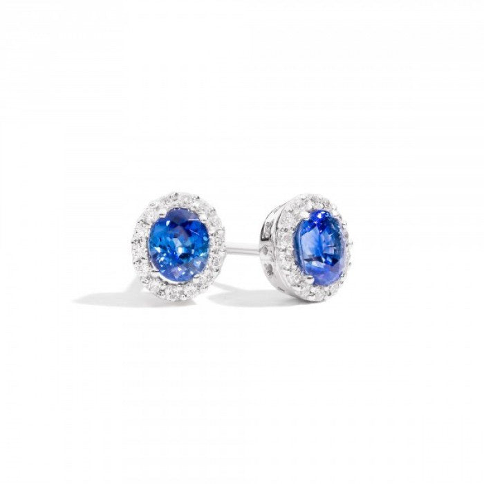Sapphire Iris Earrings 0.59 br 0.13