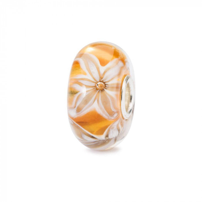 Fleur de grâce