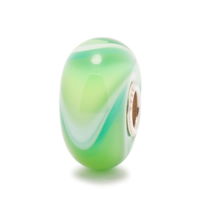 Tatou d'eau de mer