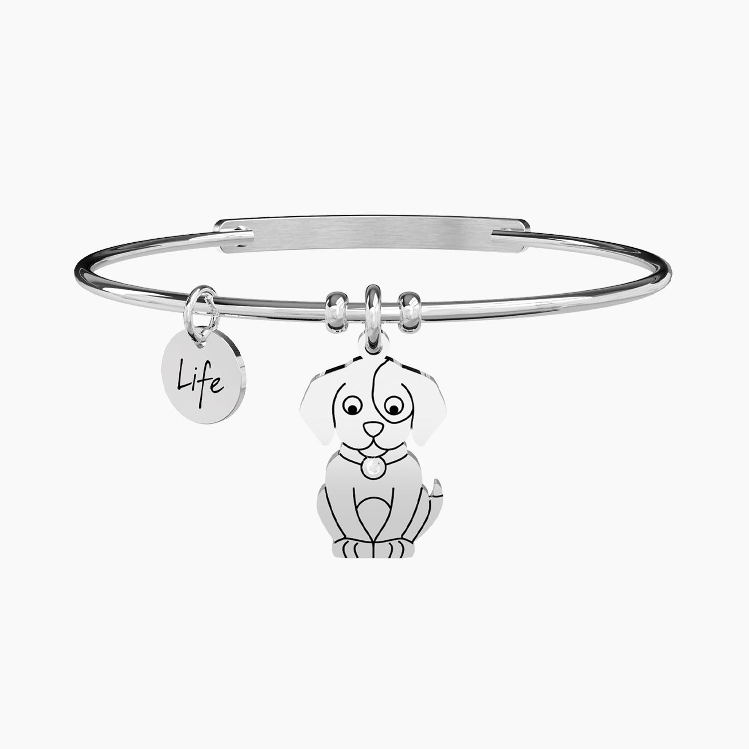 CHIEN | AFFECTION