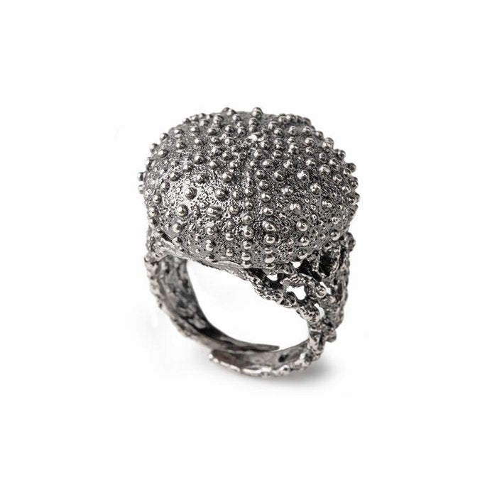 Anello Riccio Carosello Nude