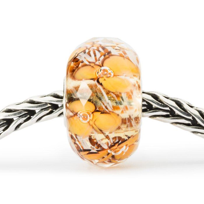 Fiori d'Arancio