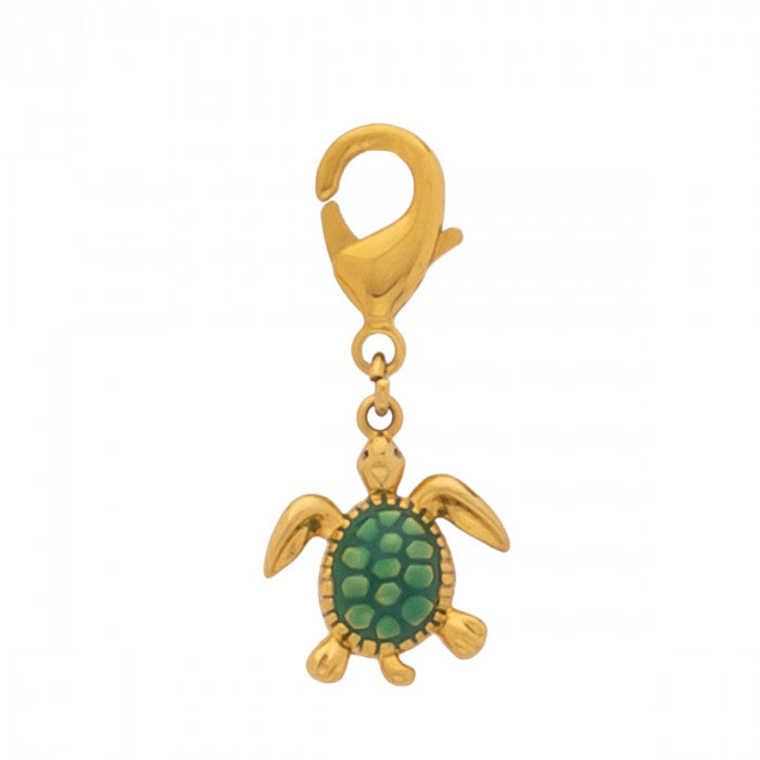 Tortue