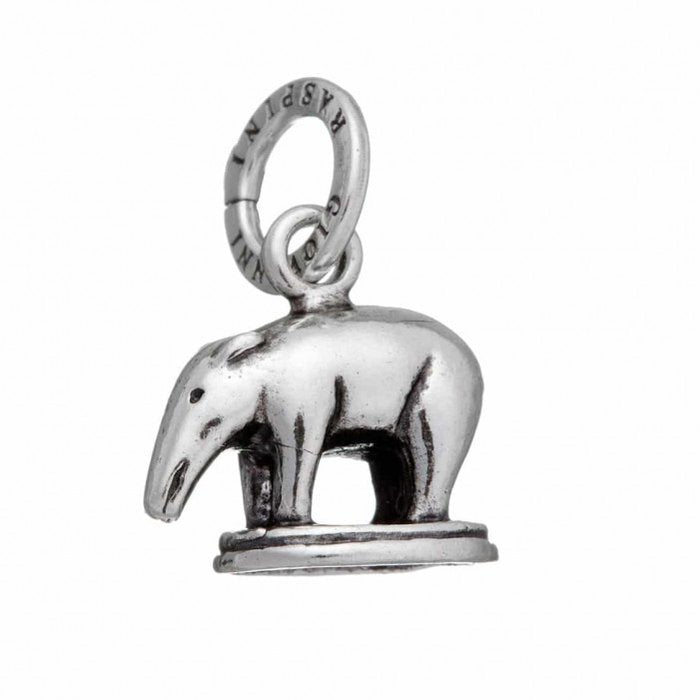 Tapir