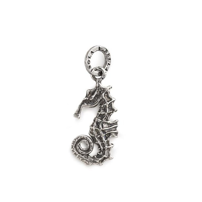 Charme Hippocampe Nu